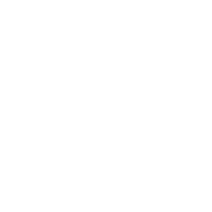 Logo Prime, cliente da Insight